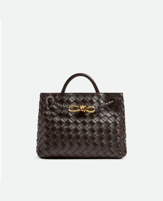 Bottega Veneta Small Andiamo Brown