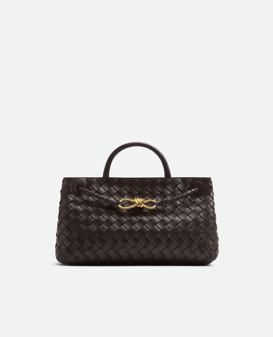 Bottega Veneta East-West Andiamo Brown