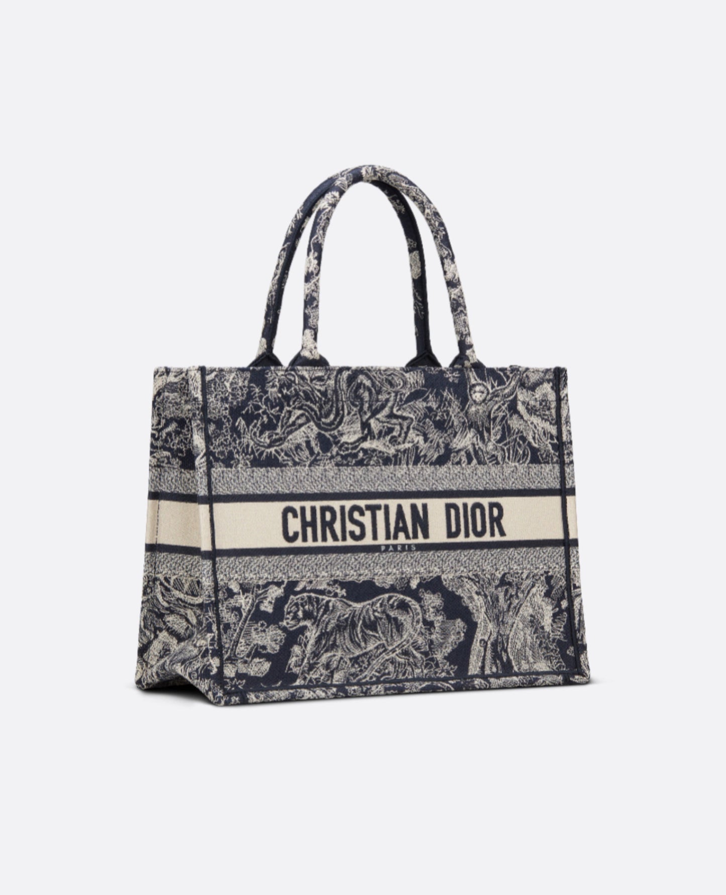 Christian Dior Medium Dior Book Tote