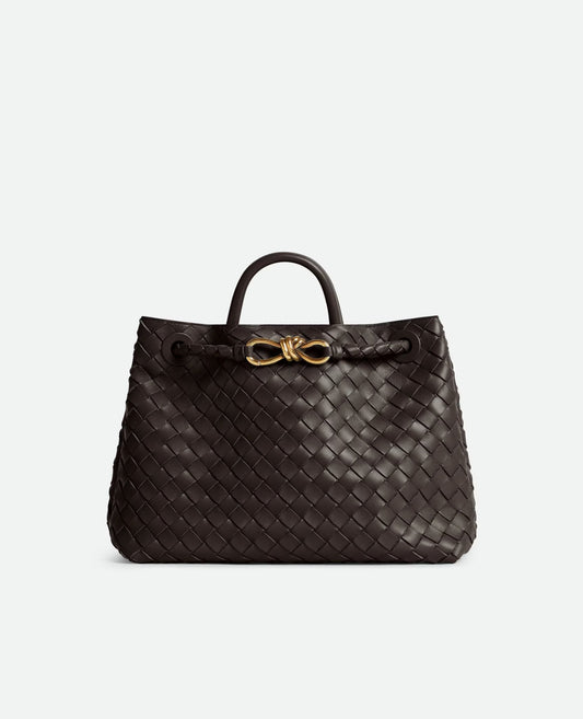 Bottega Veneta Andiamo Bag