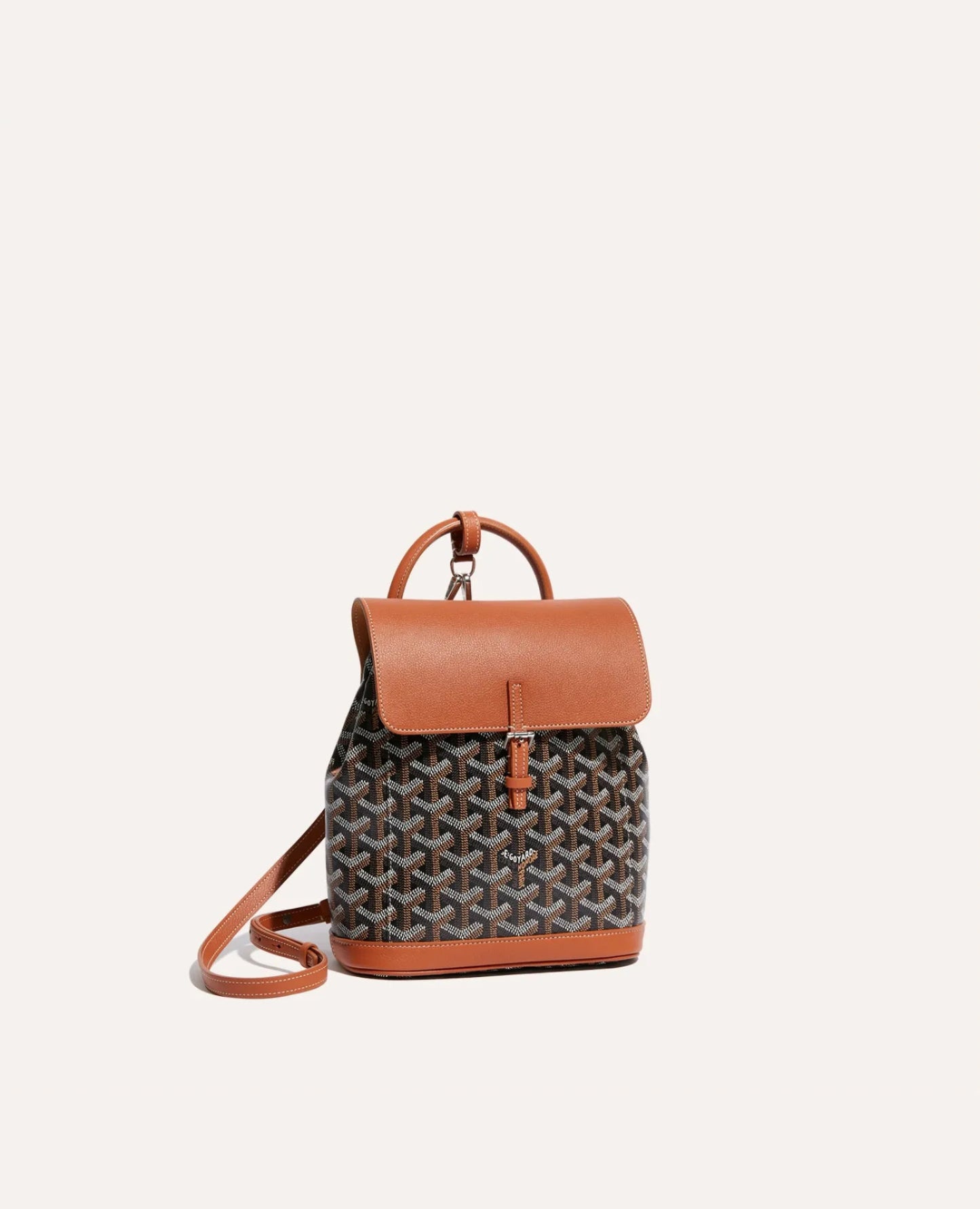 Goyard Alpin Mini Backpack