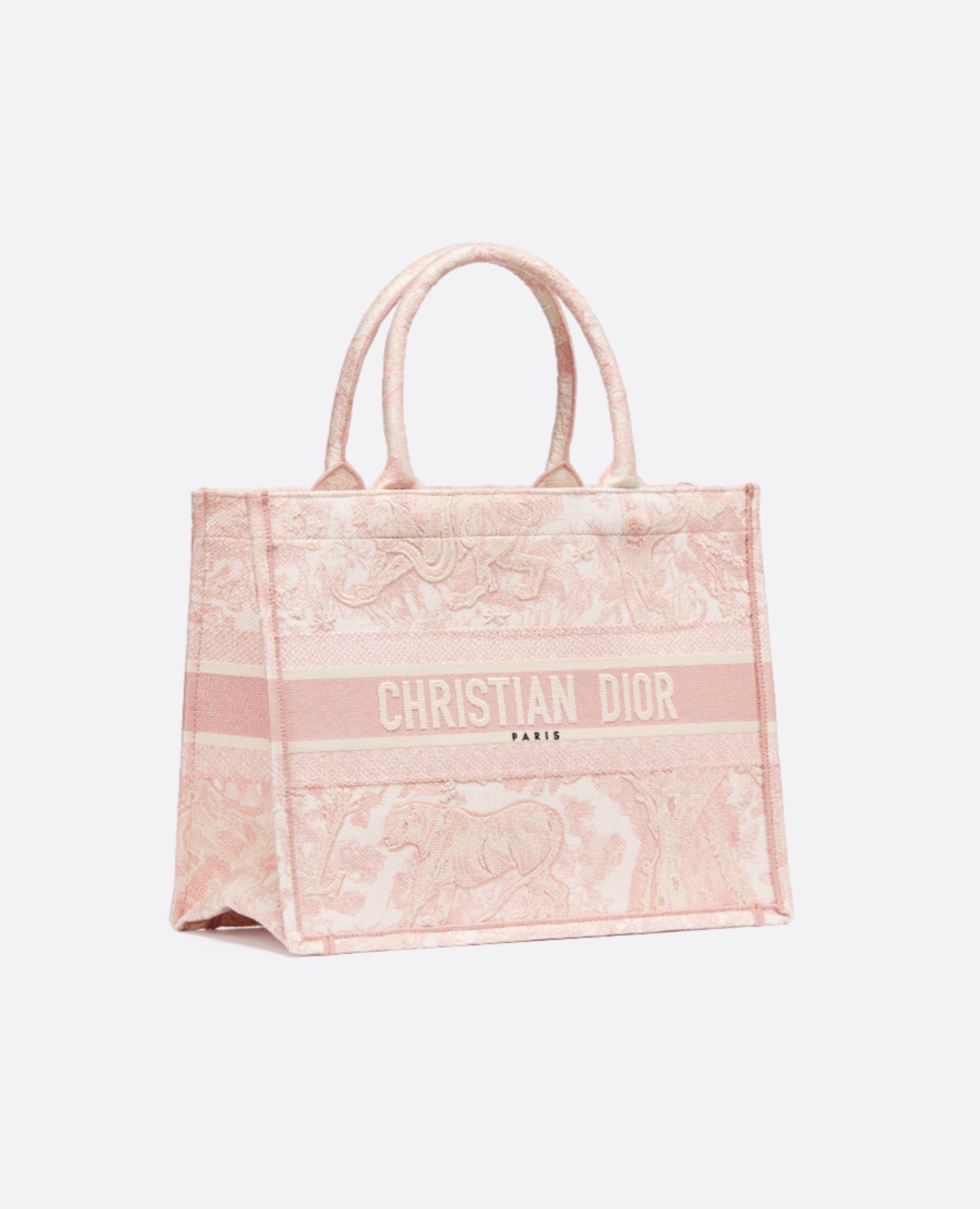 Christian Dior Medium Book Tote Bag