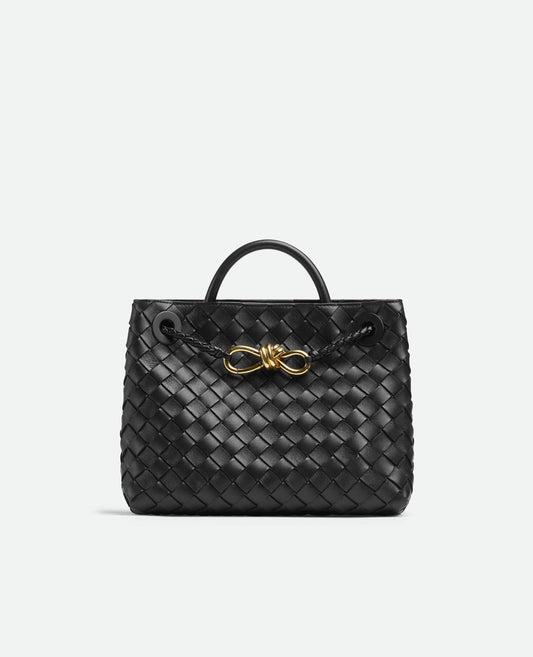 Bottega Veneta Small Andiamo Black