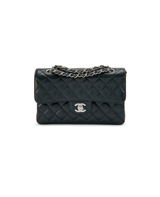 Coco Small Classic Double Flap Silver Hardware