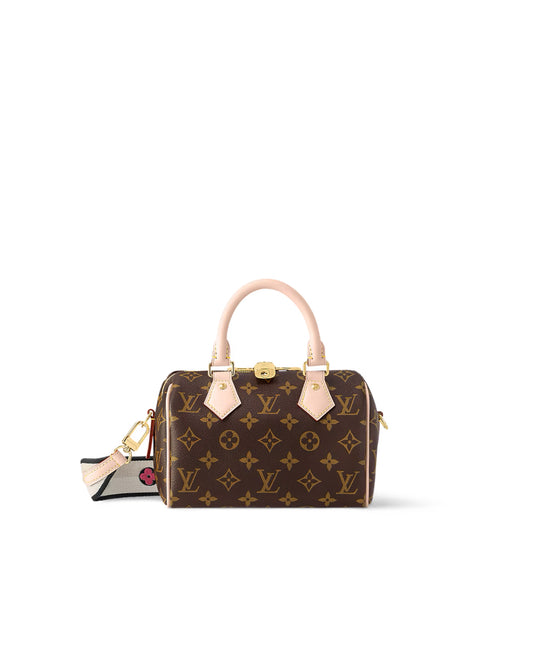 Louis Vuitton Speedy 20