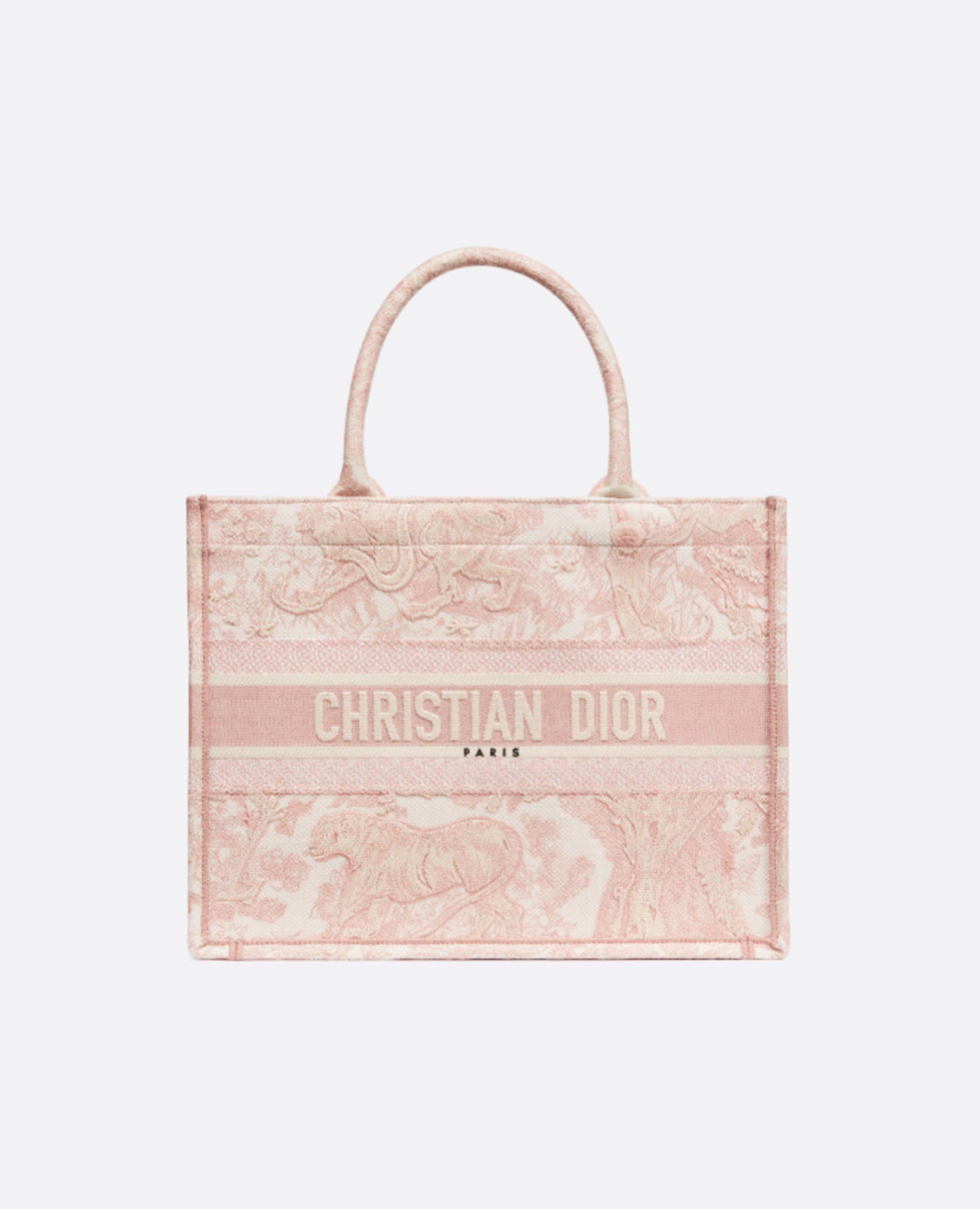 Christian Dior Medium Book Tote Bag