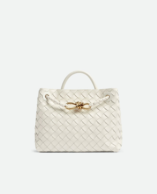 Bottega Veneta Small Andiamo